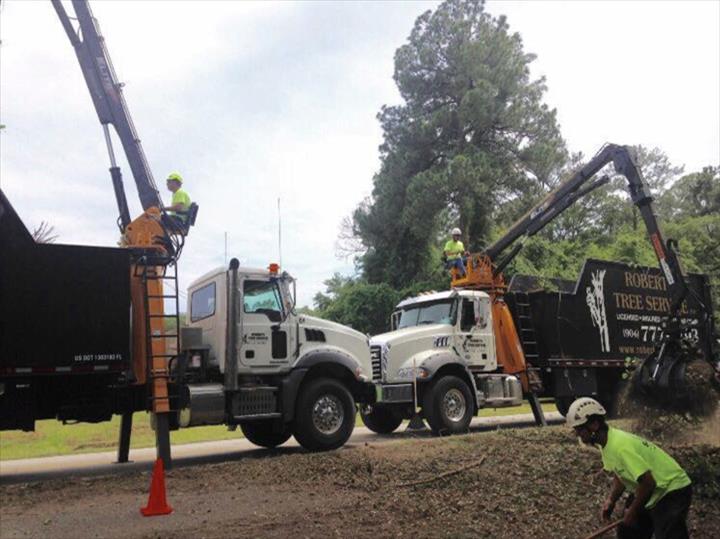 Robert�s Tree Service Jacksonville, FL Robert�s Tree Service Jacksonville, FL