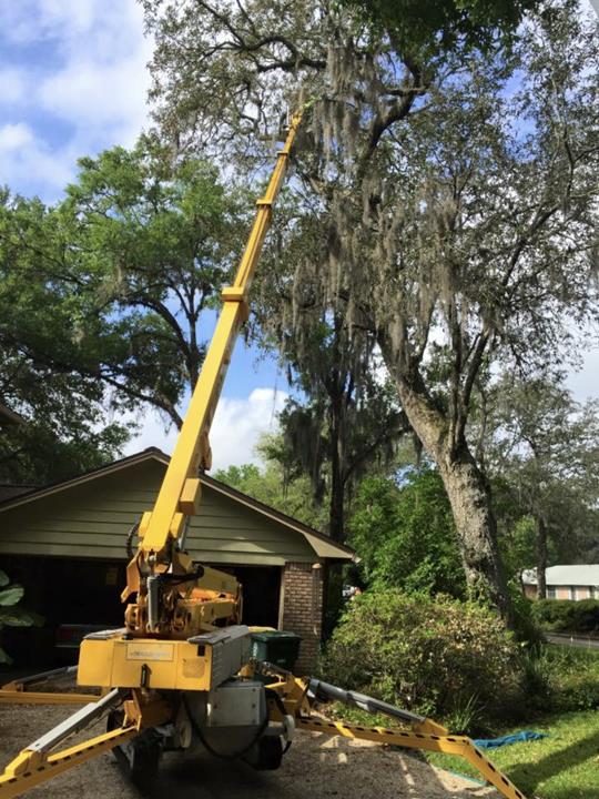 Robert�s Tree Service Jacksonville, FL Robert�s Tree Service Jacksonville, FL